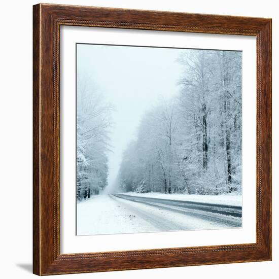 Winter-Olaf Naami-Framed Photographic Print
