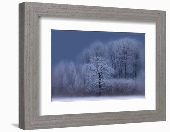 Winter-Allan Wallberg-Framed Photographic Print