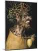 Winter-Giuseppe Arcimboldo-Mounted Art Print