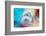 Winter-Heidi Westum-Framed Photographic Print