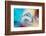 Winter-Heidi Westum-Framed Photographic Print