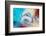 Winter-Heidi Westum-Framed Photographic Print