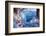 Winterimpression Am Schaalsee-Thomas Ebelt-Framed Photographic Print