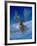 Winterland-Gordon Semmens-Framed Giclee Print