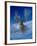 Winterland-Gordon Semmens-Framed Giclee Print