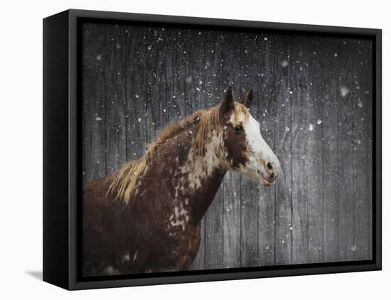 Winters Arrival Horse-Jai Johnson-Framed Premier Image Canvas