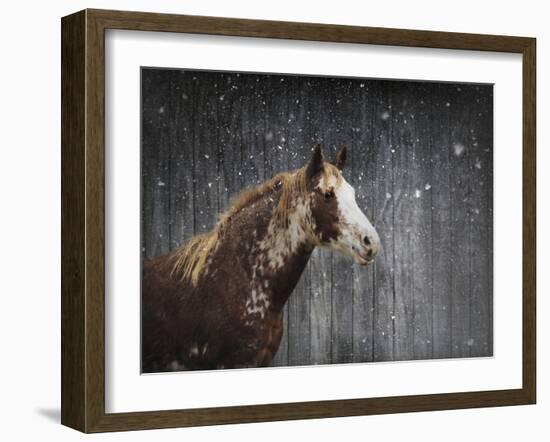 Winters Arrival Horse-Jai Johnson-Framed Giclee Print