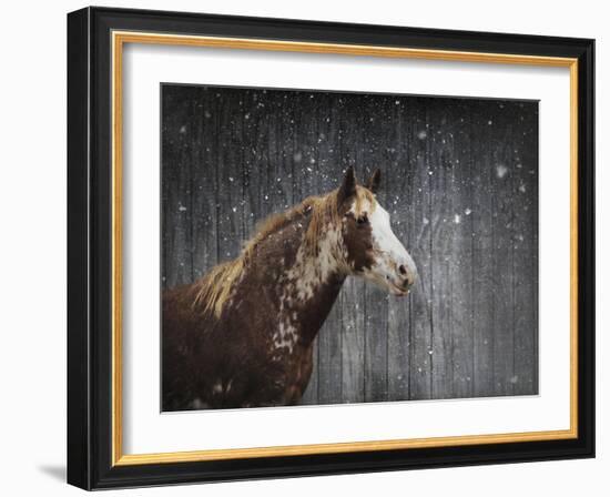 Winters Arrival Horse-Jai Johnson-Framed Giclee Print