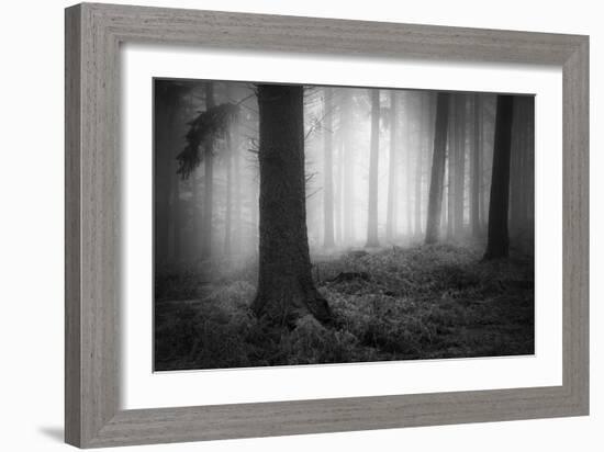 Winters Chill-David Baker-Framed Photographic Print