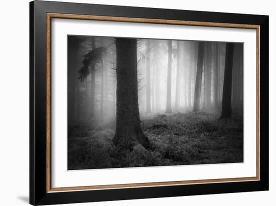 Winters Chill-David Baker-Framed Photographic Print