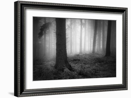 Winters Chill-David Baker-Framed Photographic Print