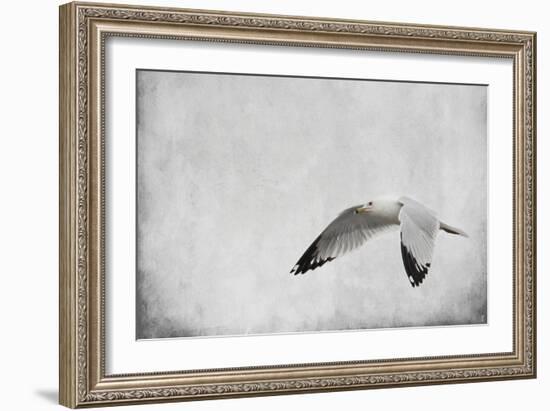 Winters Return-Jai Johnson-Framed Giclee Print