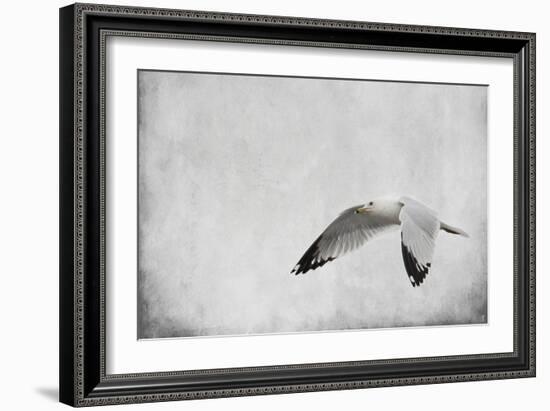 Winters Return-Jai Johnson-Framed Giclee Print