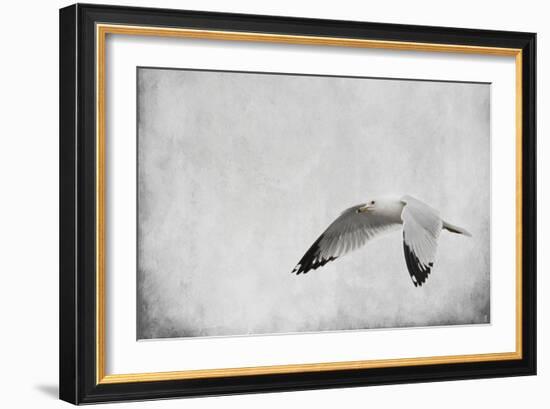 Winters Return-Jai Johnson-Framed Giclee Print