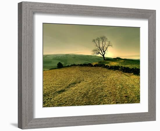 Winters Silence-Mark Gemmell-Framed Photographic Print