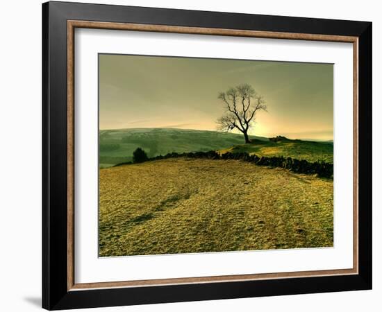 Winters Silence-Mark Gemmell-Framed Photographic Print