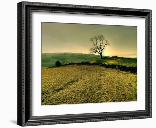 Winters Silence-Mark Gemmell-Framed Photographic Print