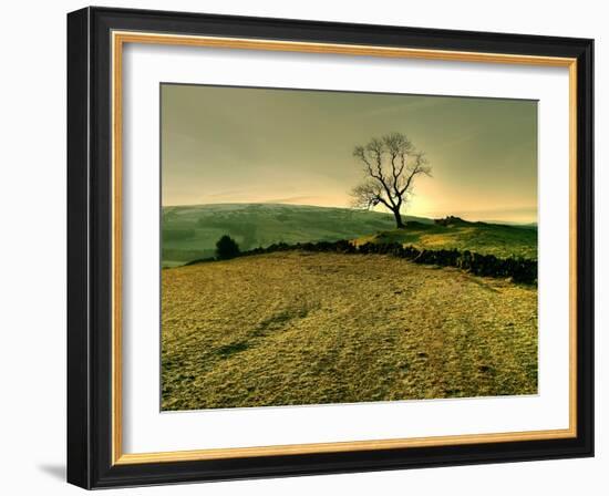 Winters Silence-Mark Gemmell-Framed Photographic Print