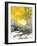 Winters Sun-null-Framed Giclee Print