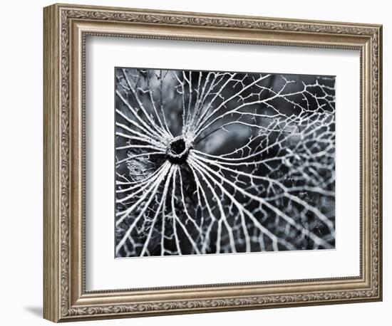 Winterspell-Design Fabrikken-Framed Photographic Print