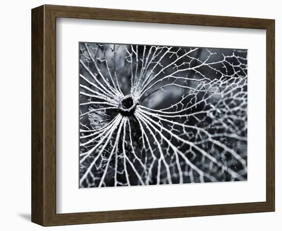 Winterspell-Design Fabrikken-Framed Photographic Print