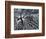 Winterspell-Design Fabrikken-Framed Photographic Print