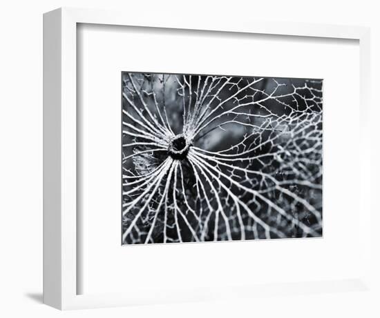 Winterspell-Design Fabrikken-Framed Photographic Print