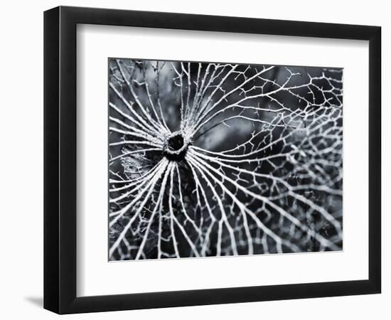 Winterspell-Design Fabrikken-Framed Photographic Print