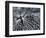 Winterspell-Design Fabrikken-Framed Photographic Print