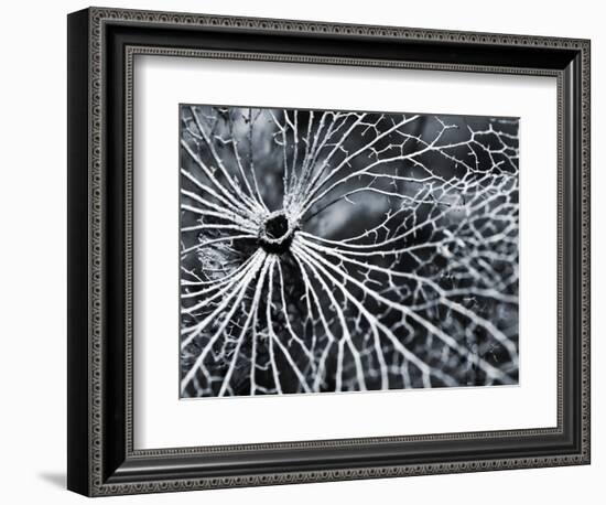 Winterspell-Design Fabrikken-Framed Photographic Print