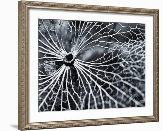 Winterspell-Design Fabrikken-Framed Photographic Print