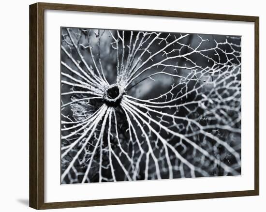 Winterspell-Design Fabrikken-Framed Photographic Print