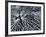 Winterspell-Design Fabrikken-Framed Premium Photographic Print