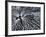 Winterspell-Design Fabrikken-Framed Premium Photographic Print