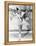 Wintertime, Sonja Henie, 1943-null-Framed Stretched Canvas