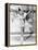 Wintertime, Sonja Henie, 1943-null-Framed Stretched Canvas