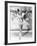 Wintertime, Sonja Henie, 1943-null-Framed Photo