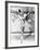 Wintertime, Sonja Henie, 1943-null-Framed Photo