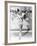 Wintertime, Sonja Henie, 1943-null-Framed Photo