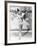 Wintertime, Sonja Henie, 1943-null-Framed Photo