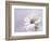 Wintery II-Heidi Westum-Framed Photographic Print