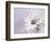 Wintery II-Heidi Westum-Framed Photographic Print