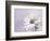 Wintery II-Heidi Westum-Framed Photographic Print