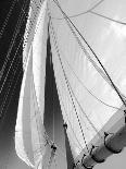 Sailboat Sails Florida-Winthrope Hiers-Photographic Print