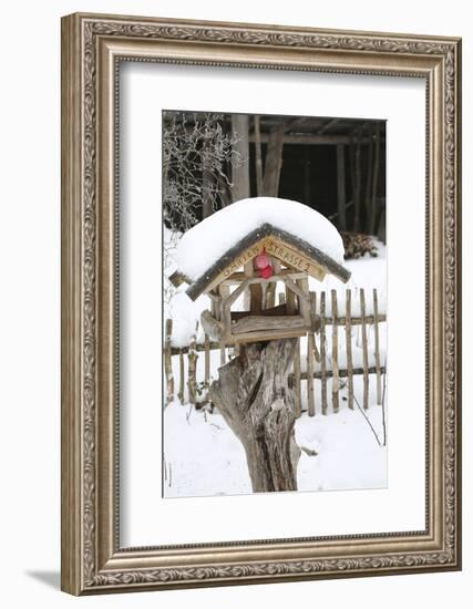 Wintry Birdhouse with Christmas Bulbs-Andrea Haase-Framed Photographic Print