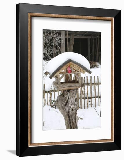 Wintry Birdhouse with Christmas Bulbs-Andrea Haase-Framed Photographic Print