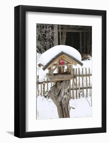 Wintry Birdhouse with Christmas Bulbs-Andrea Haase-Framed Photographic Print