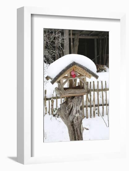 Wintry Birdhouse with Christmas Bulbs-Andrea Haase-Framed Photographic Print