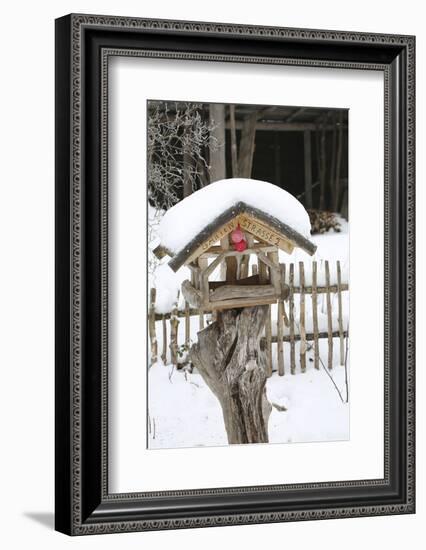 Wintry Birdhouse with Christmas Bulbs-Andrea Haase-Framed Photographic Print