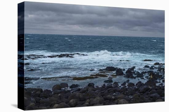 Wintry Coast-Chris Dunker-Framed Stretched Canvas